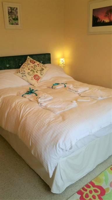 Horsna Parc Retreat Bed & Breakfast Saint Tudy Exterior photo