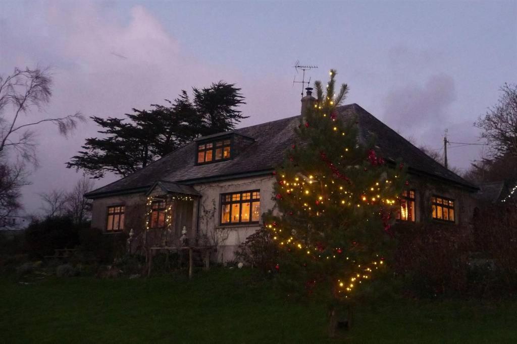 Horsna Parc Retreat Bed & Breakfast Saint Tudy Exterior photo